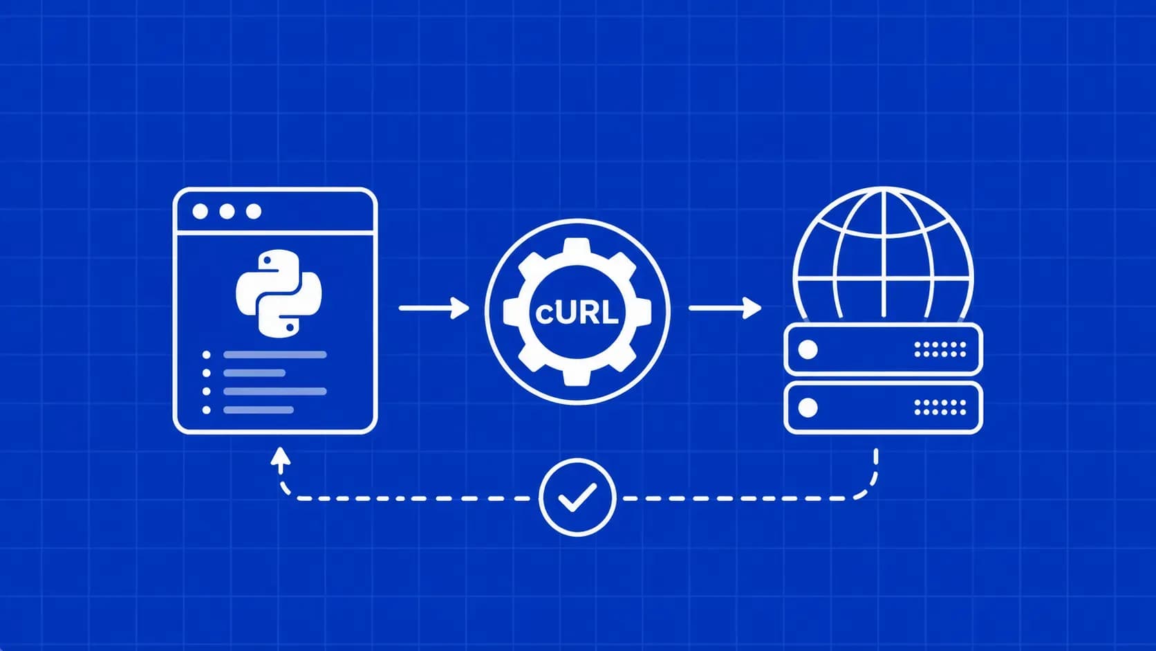 How to Use cURL With Python in 2026